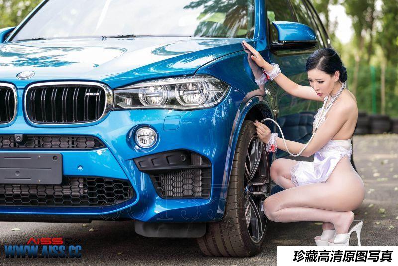 爱丝 F5031 NO.71 汽车医生:索菲 68P