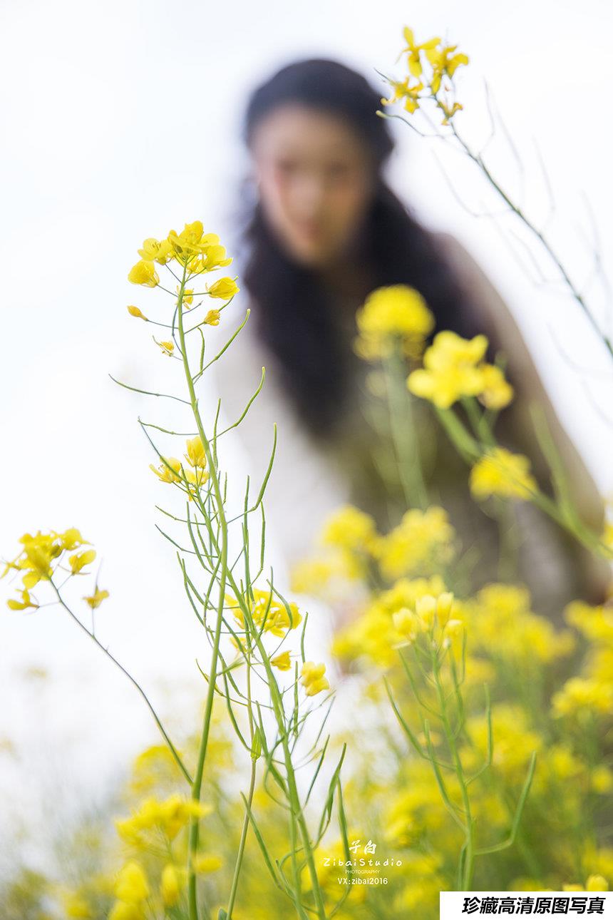 [TouTiao头条女神] 2020-04-20 钟晴 油菜花的晴天