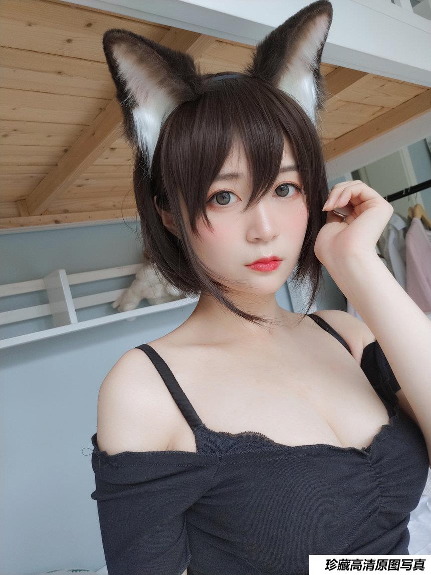 白银81布偶猫&电子猫[96P+11V706MB]