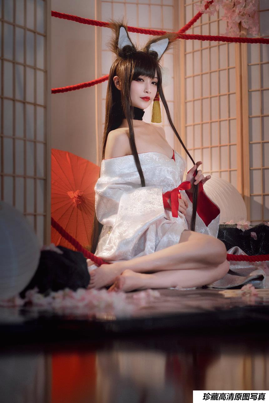 动漫博主铁板烧鬼舞w - 赤城 [20P-287MB]