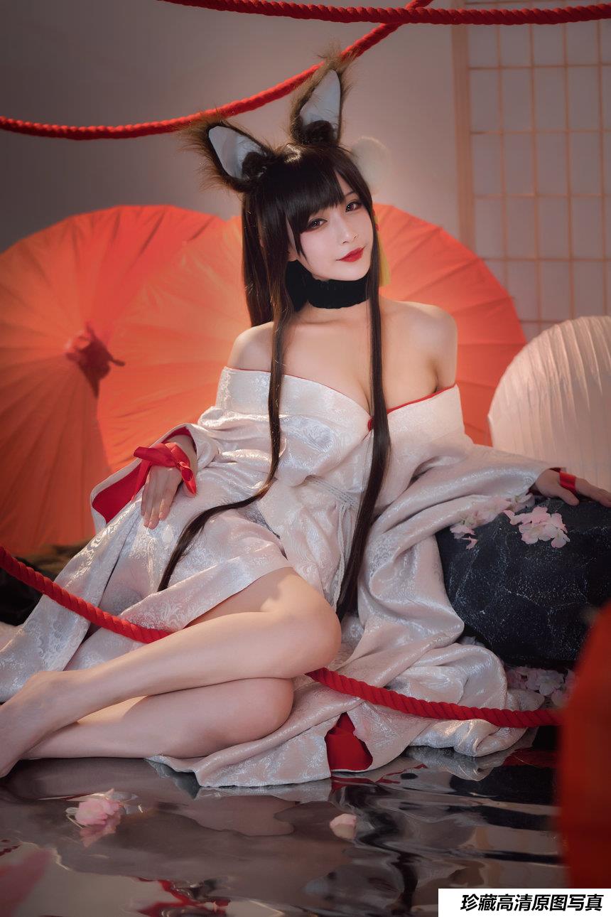 动漫博主铁板烧鬼舞w - 赤城 [20P-287MB]