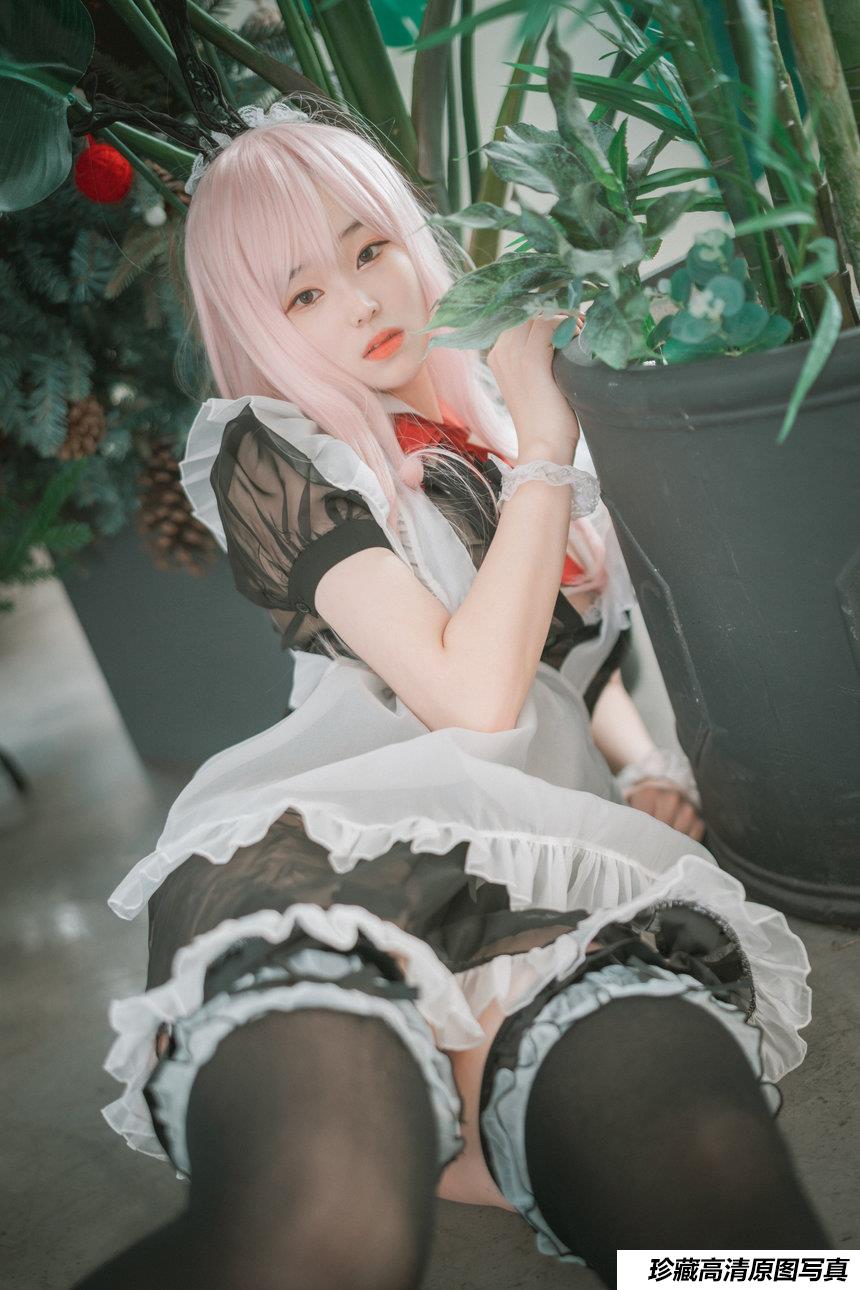 DJAWA Photo - Bambi  - Sheer Bunny Maid [51P-451MB]