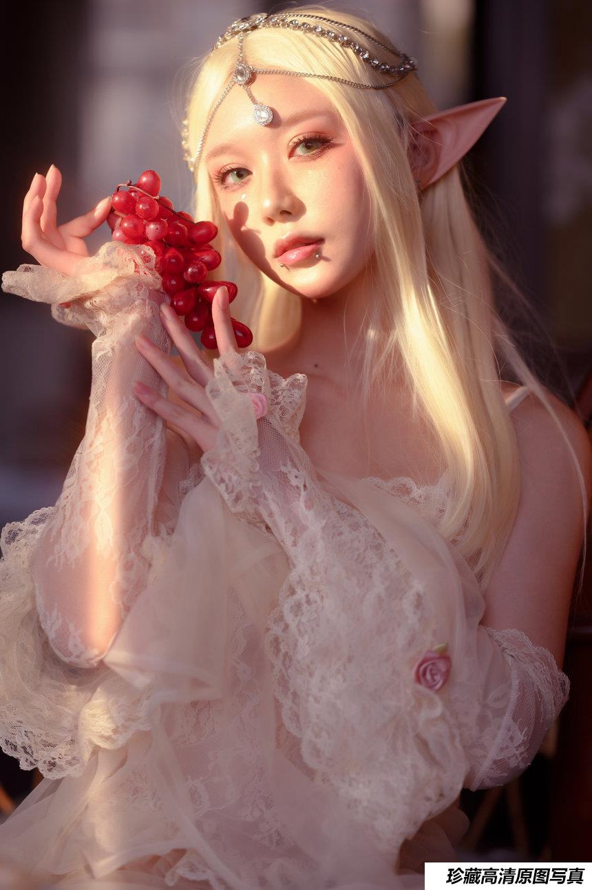 阿包也是兔娘 NO.019 - 精灵[25P／254MB]