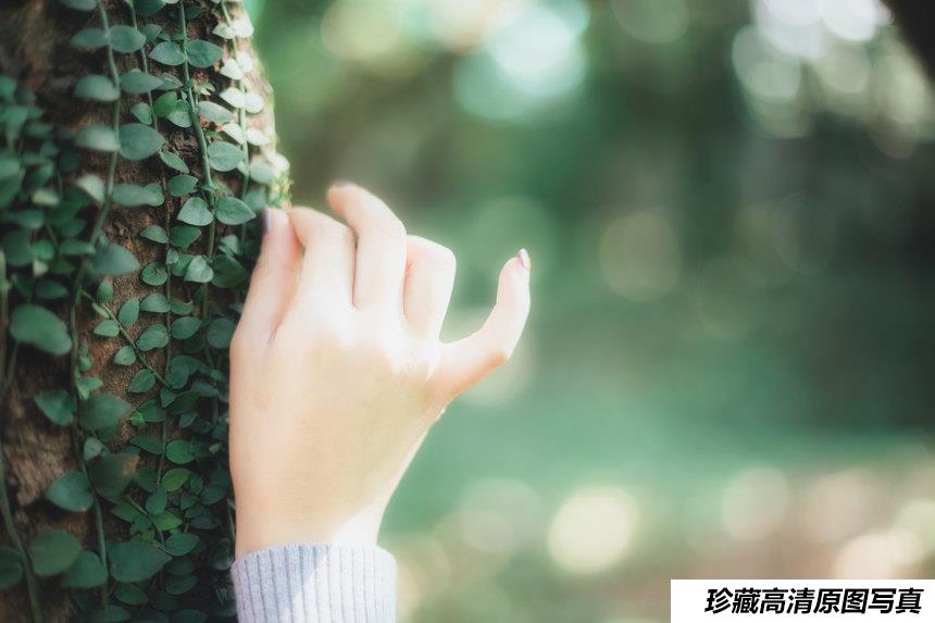 [YITUYU艺图语]2021.08.26 午后阳光 三重子[41+1P／346MB]