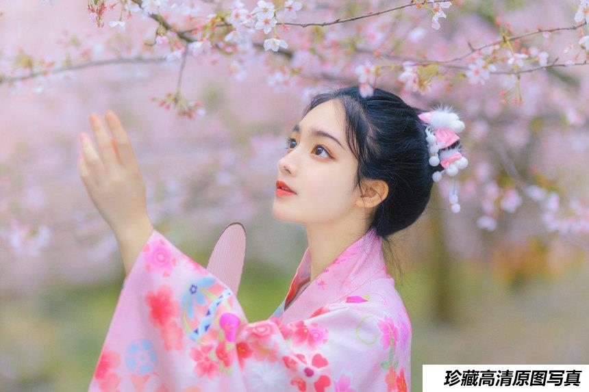 [YITUYU艺图语]2021.08.27 樱の物语 猫夏小卡[33+1P／1.22GB]