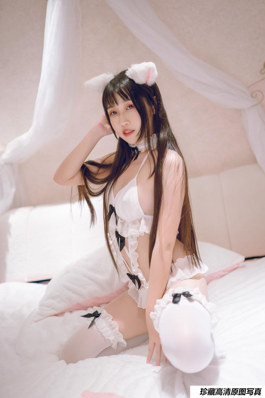 不呆猫 NO.003 - 狐狸[26P／88MB]