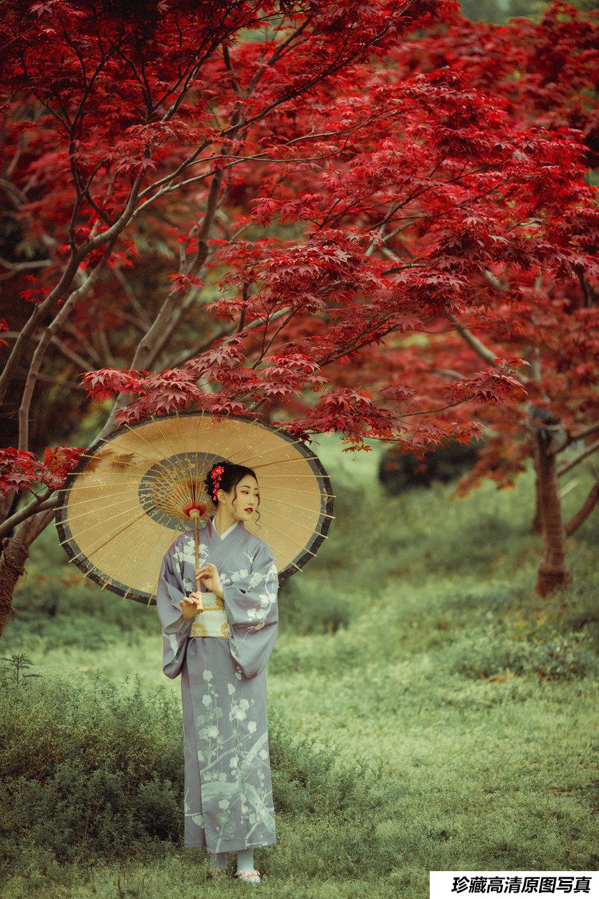 [YITUYU艺图语]2021.09.02 红叶深处 没烦恼[28+1P／499MB]