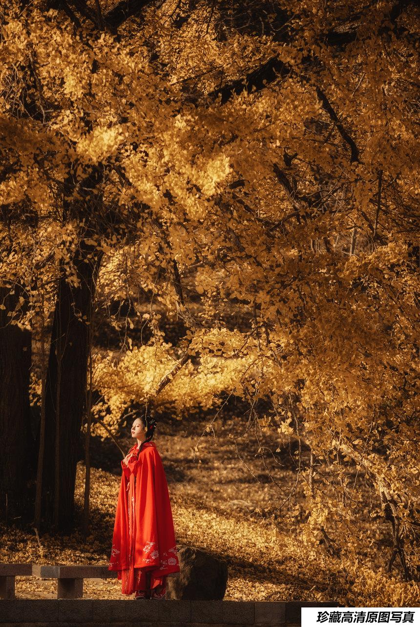 [YITUYU艺图语]2021.10.30 长相思 葵花花花儿[22+1P／152MB]