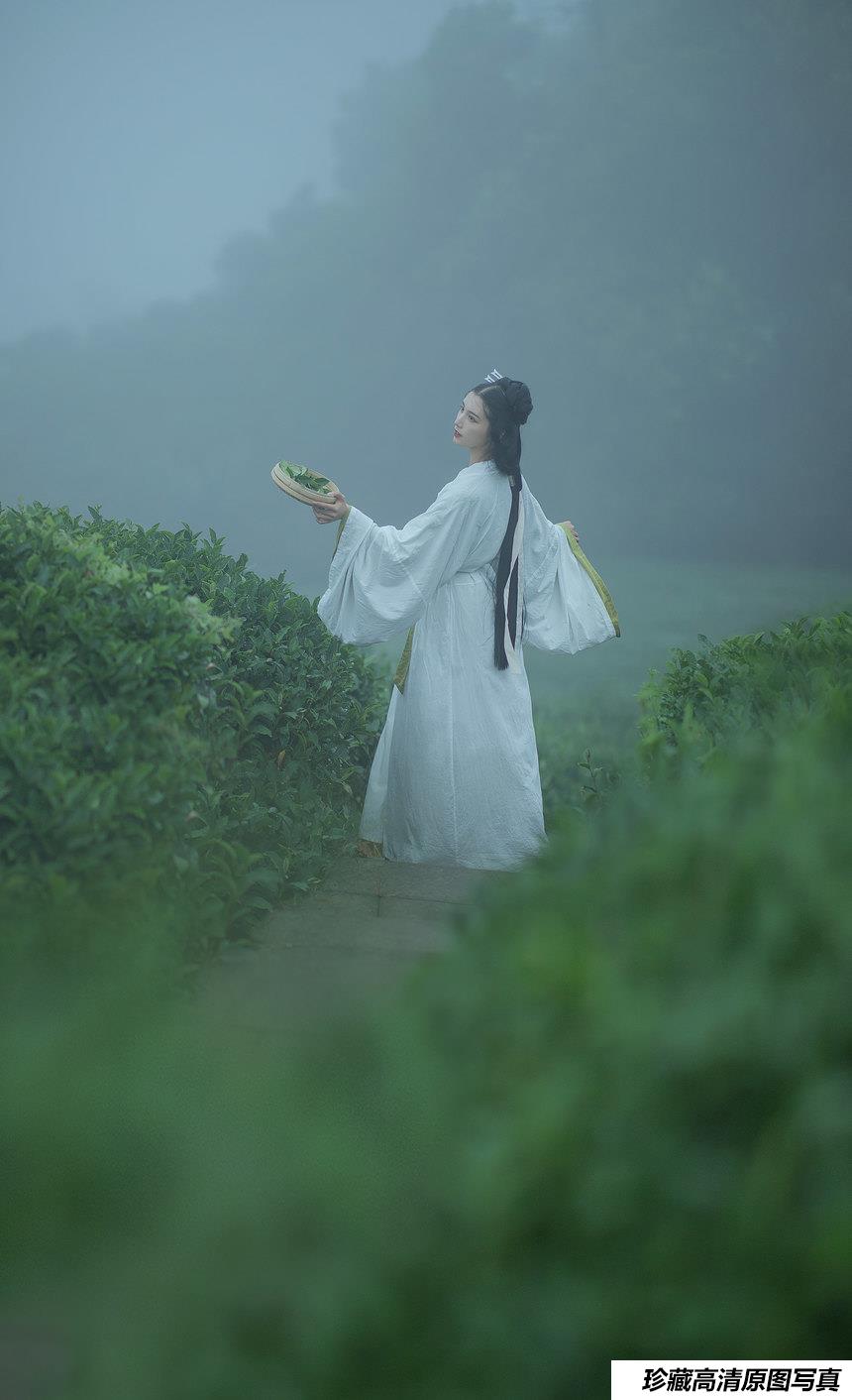 [YITUYU艺图语]2021.12.02 采茶女 十八重川[19+1P／151MB]