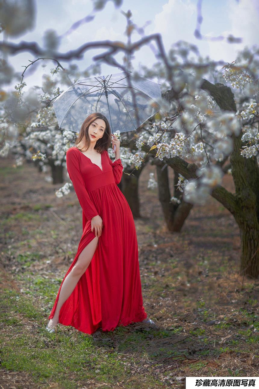 [YITUYU艺图语]2021.12.22 一袭红妆拂梨花 如意[31+1P／92.4MB]