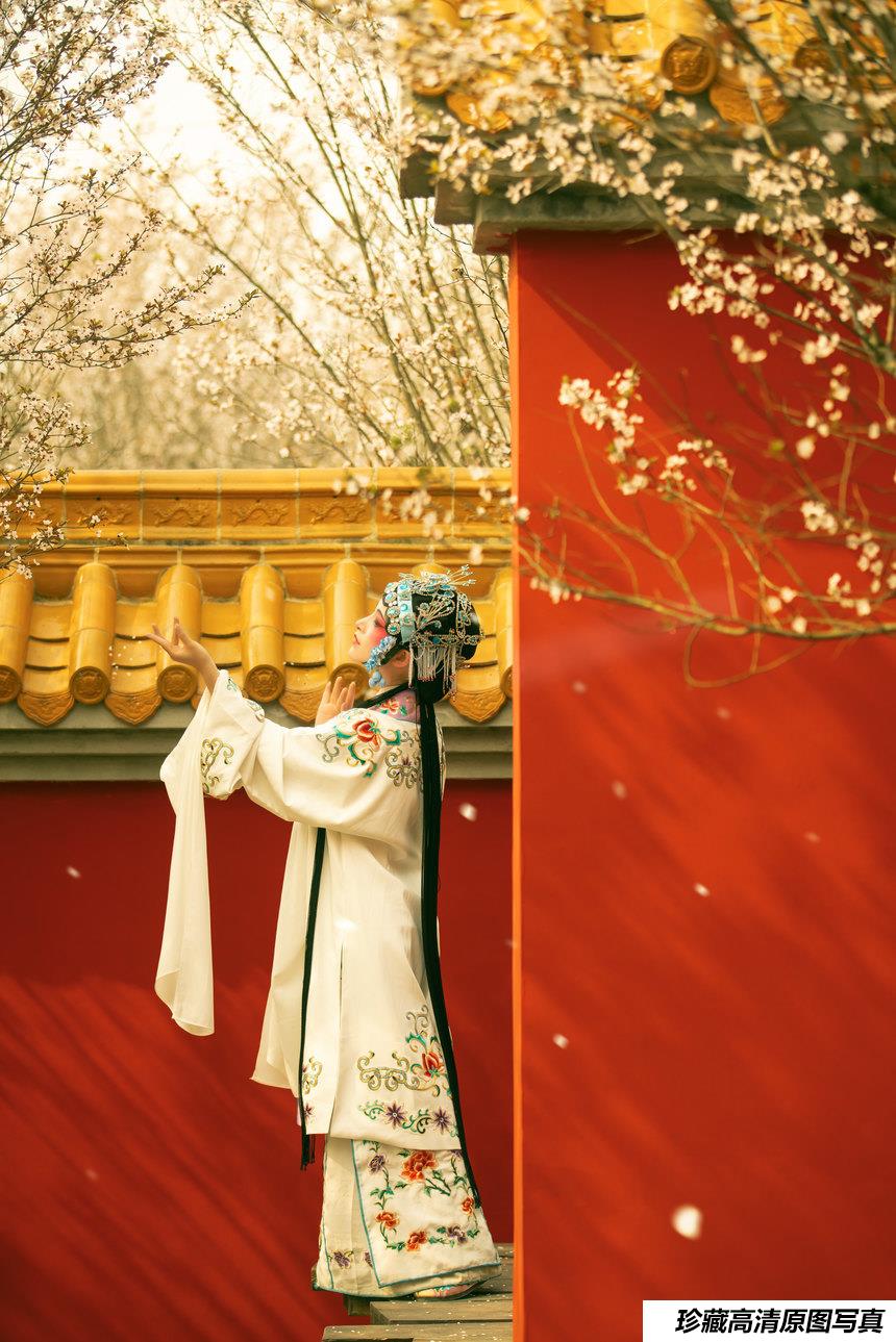 [YITUYU艺图语]2021.12.18 花满枝 修水凝花[22+1P／295MB]