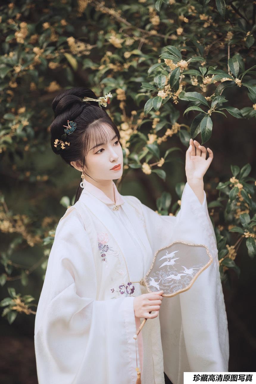 [YITUYU艺图语]2021.11.22 桂花酿 一只阿梦崽[35+1P／307MB]