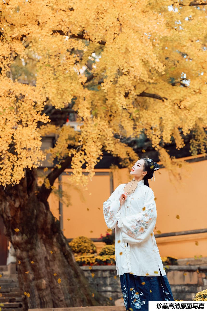 [YITUYU艺图语]2022.01.22 枫林晚 鹿呦[24+1P／465MB]