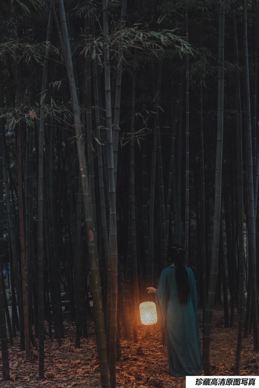 [YITUYU艺图语]2022.03.01 清平误 鹿呦[27+1P／323MB]