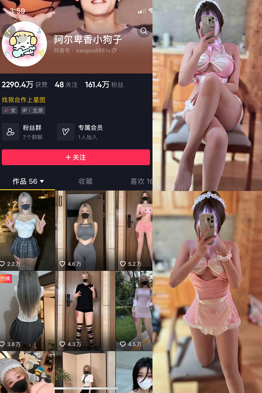 抖音 阿尔卑香小狗子 微密圈  NO.039期 【10P】-艺库