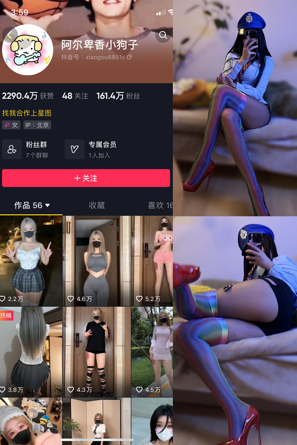 抖音 阿尔卑香小狗子 微密圈 NO.001-031期 最新至：2023.10.11-艺库