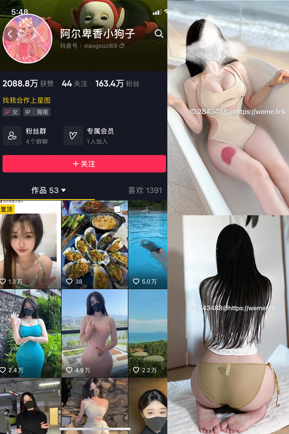 抖音 阿尔卑香小狗子 微密圈  NO.013期 【46P】最新至：2023.7.31-艺库