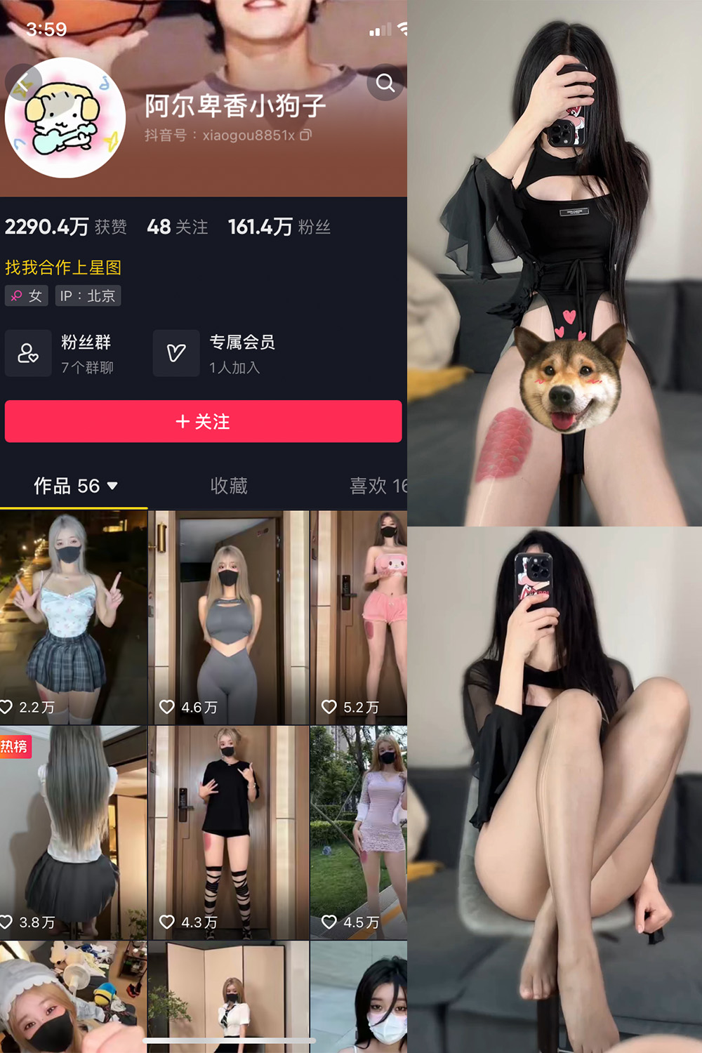 抖音 阿尔卑香小狗子 微密圈  NO.026期 【8P1V】最新至：2023.9.27-艺库