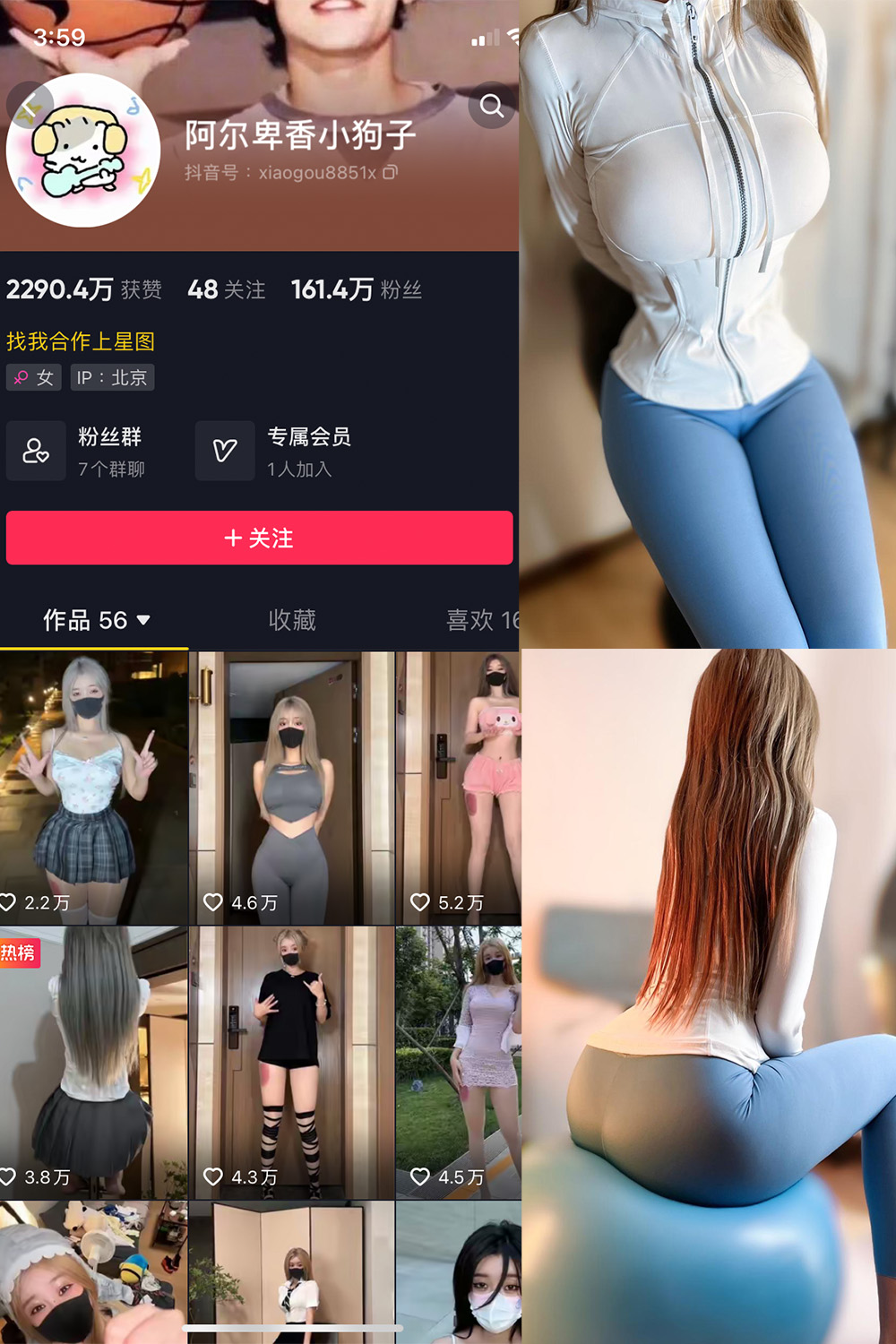 抖音 阿尔卑香小狗子 微密圈  NO.029期 【30P】最新至：2023.10.2-艺库