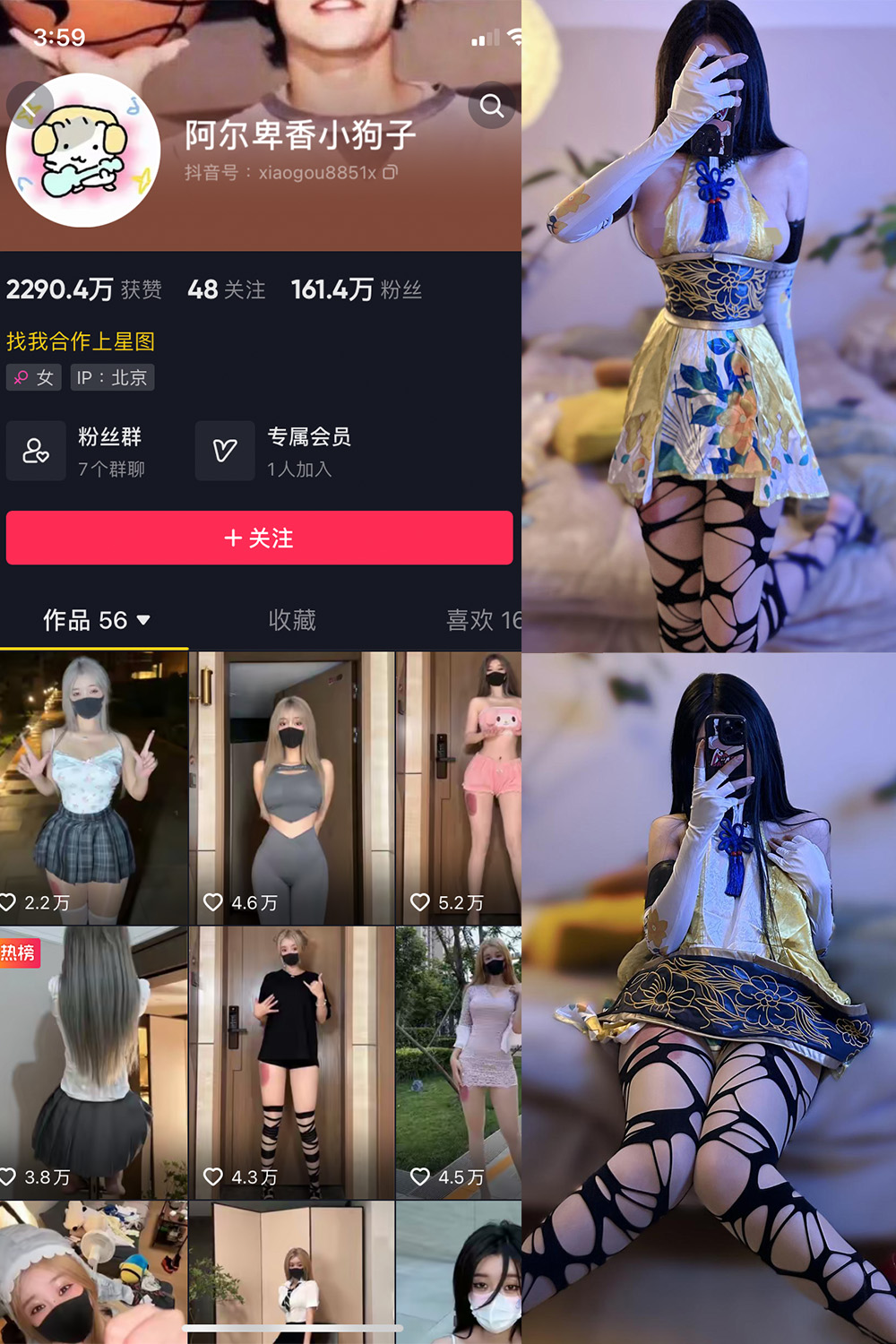 抖音 阿尔卑香小狗子 微密圈  NO.030期 【13P1V】-艺库