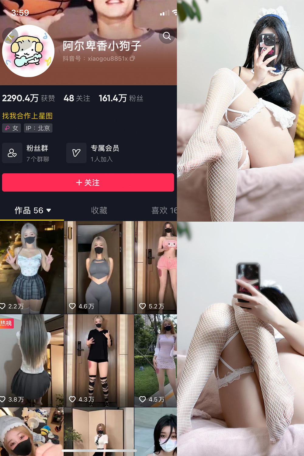 抖音 阿尔卑香小狗子 微密圈  NO.033期 【19P】最新至：2023.10.16-艺库