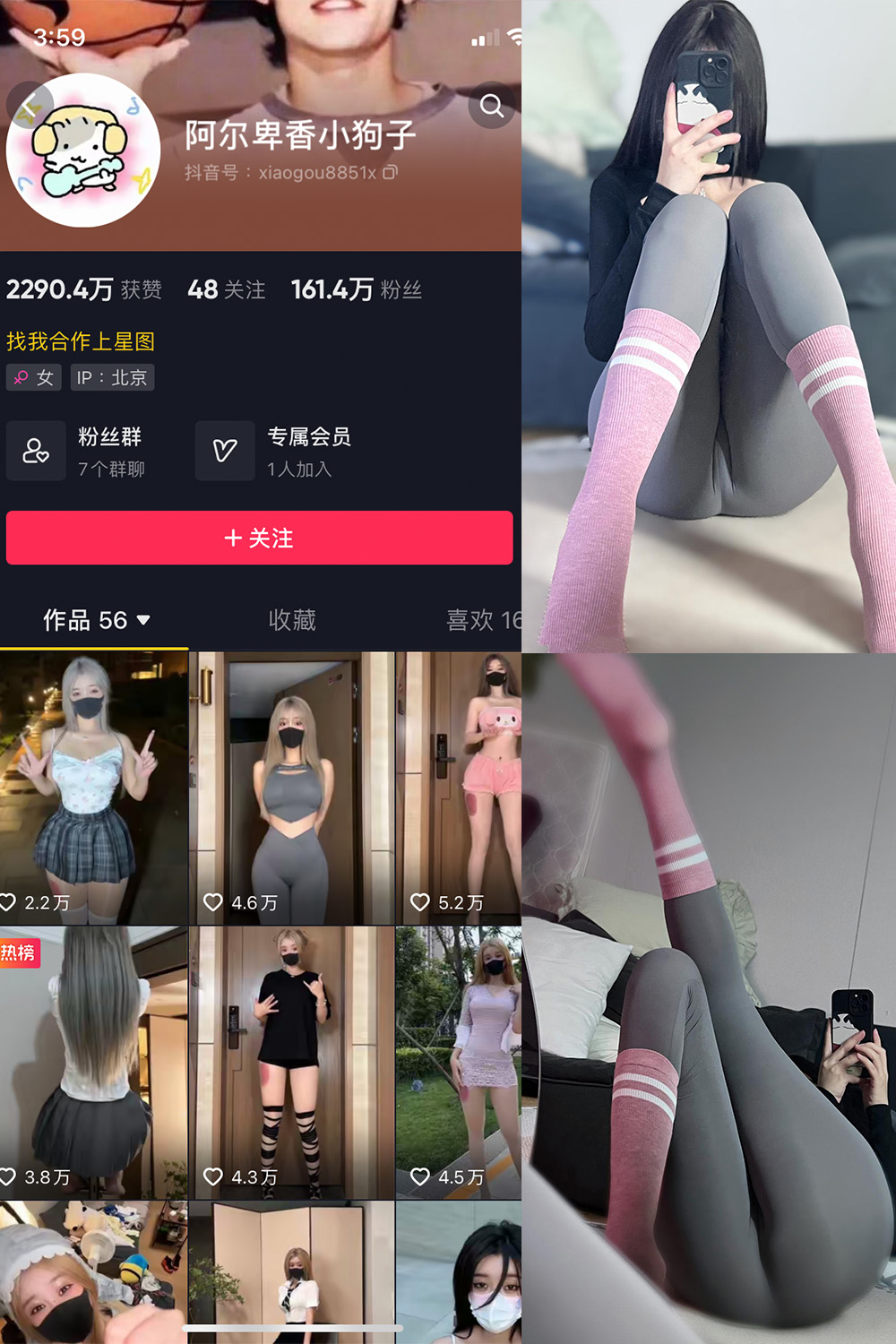 抖音 阿尔卑香小狗子 微密圈  NO.038期 【10P】最新至：2023.11.23-艺库