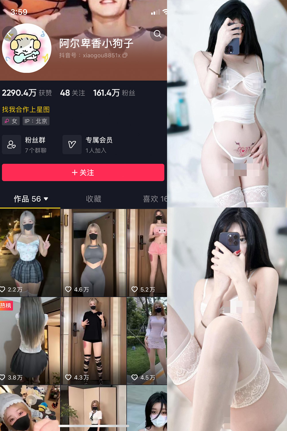 抖音 阿尔卑香小狗子 微密圈  NO.043期 【18P1V】最新至：2024.1.26-艺库