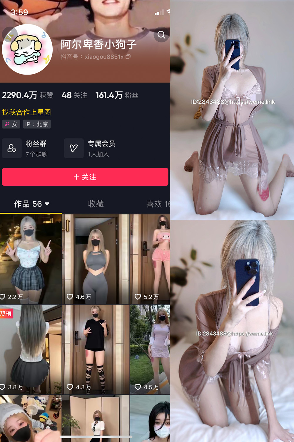 抖音 阿尔卑香小狗子 微密圈  NO.045期 【39P】最新至：2024.5.30-艺库