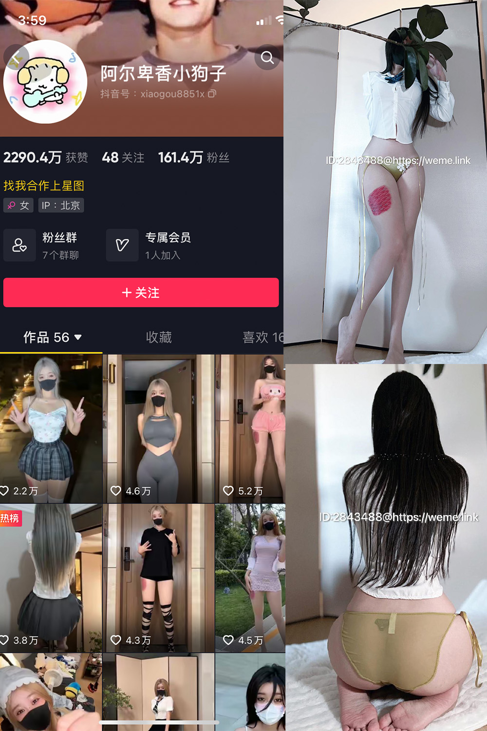抖音 阿尔卑香小狗子 微密圈  NO.047期 【39P】最新至：2024.6.10-艺库