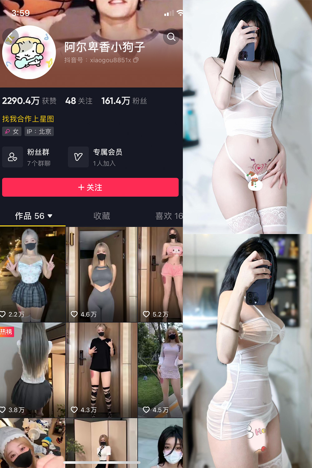 抖音 阿尔卑香小狗子 微密圈  NO.051期 【33P】最新至：2024.6.30-艺库