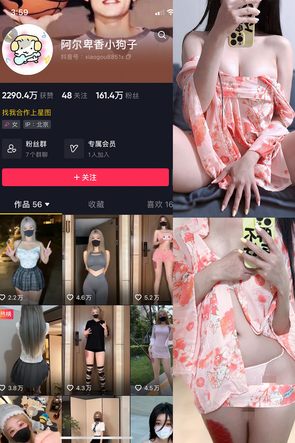 抖音 阿尔卑香小狗子 微密圈  NO.052期 【22P4V】最新至：2024.7.11-绅士图