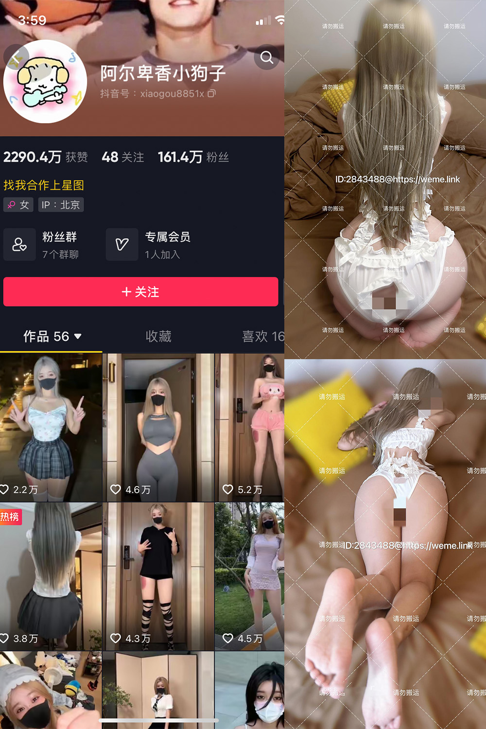抖音 阿尔卑香小狗子 微密圈  NO.054期 【16P1V】最新至：2024.8.7-艺库