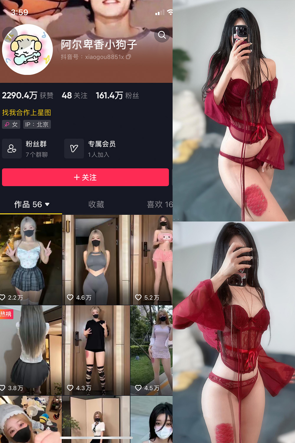 抖音 阿尔卑香小狗子 微密圈  NO.056期 【10P2V】最新至：2024.8.25-艺库
