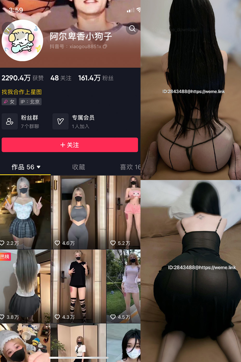 抖音 阿尔卑香小狗子 微密圈  NO.057期 【36P1V】最新至：2024.9.3-艺库