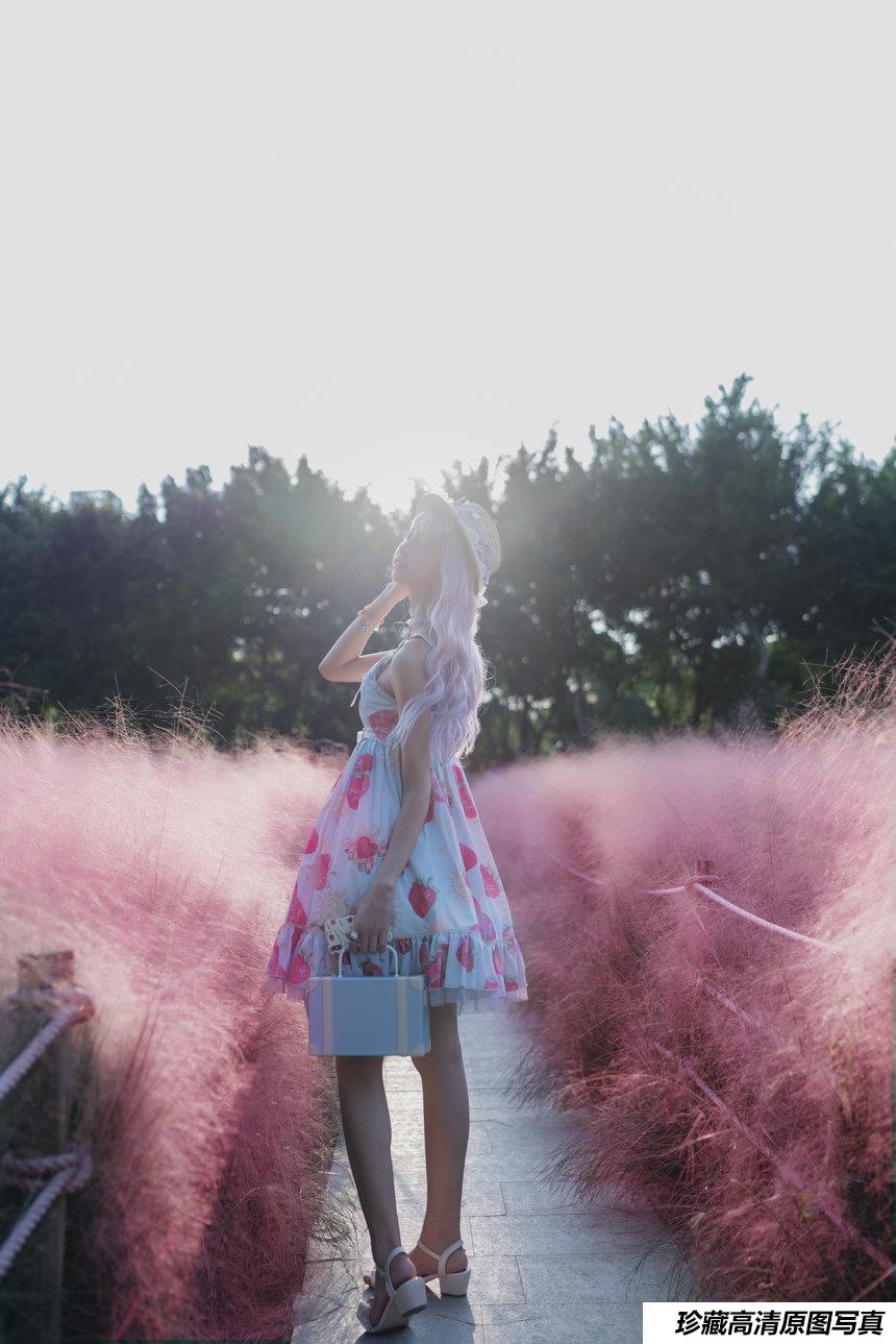 西瓜少女 NO.006   粉草 [15P-108MB]