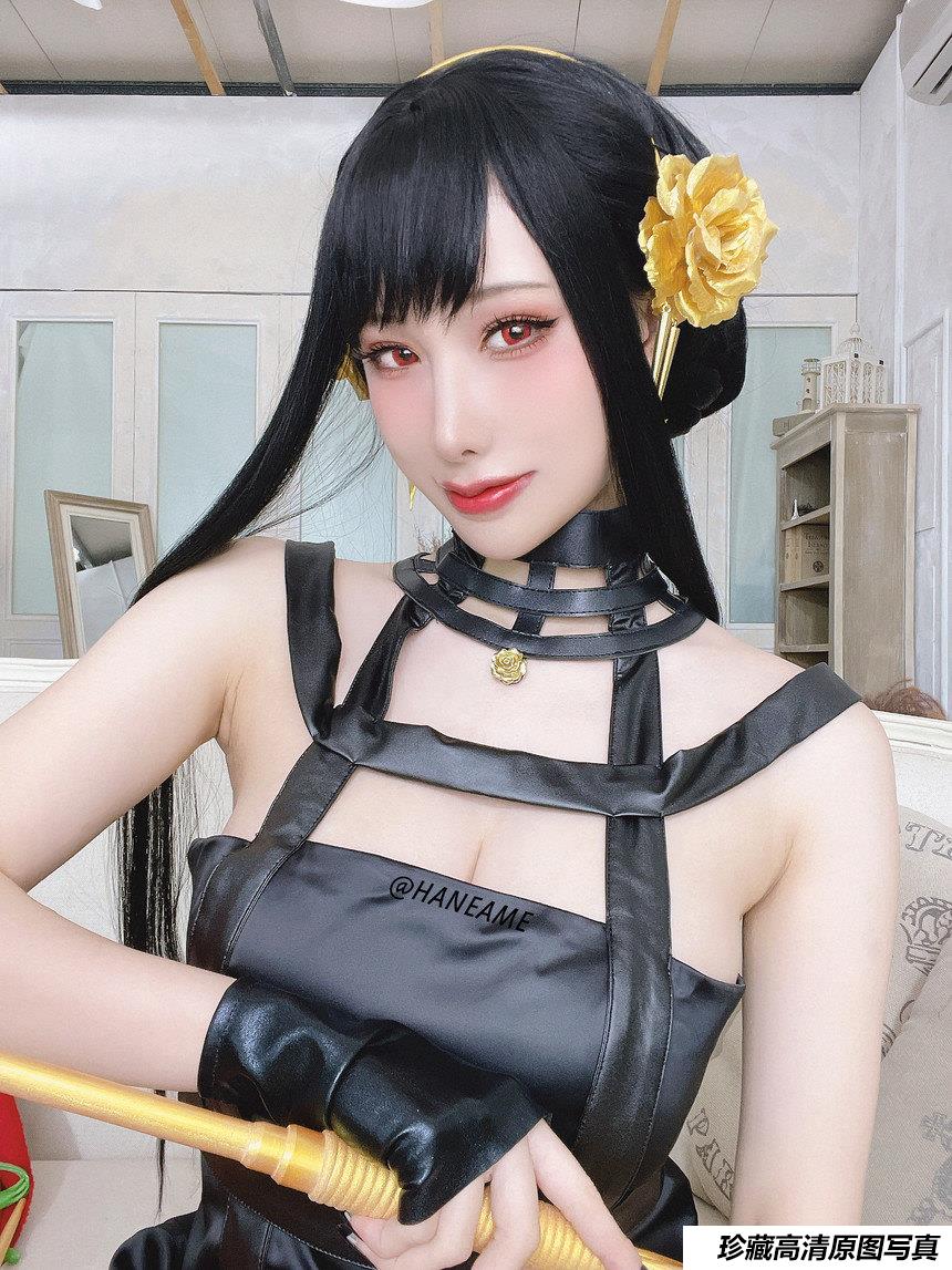 雨波_HaneAme - NO.145 間諜家族 Spy x Family Yor Forger [29P-123MB]