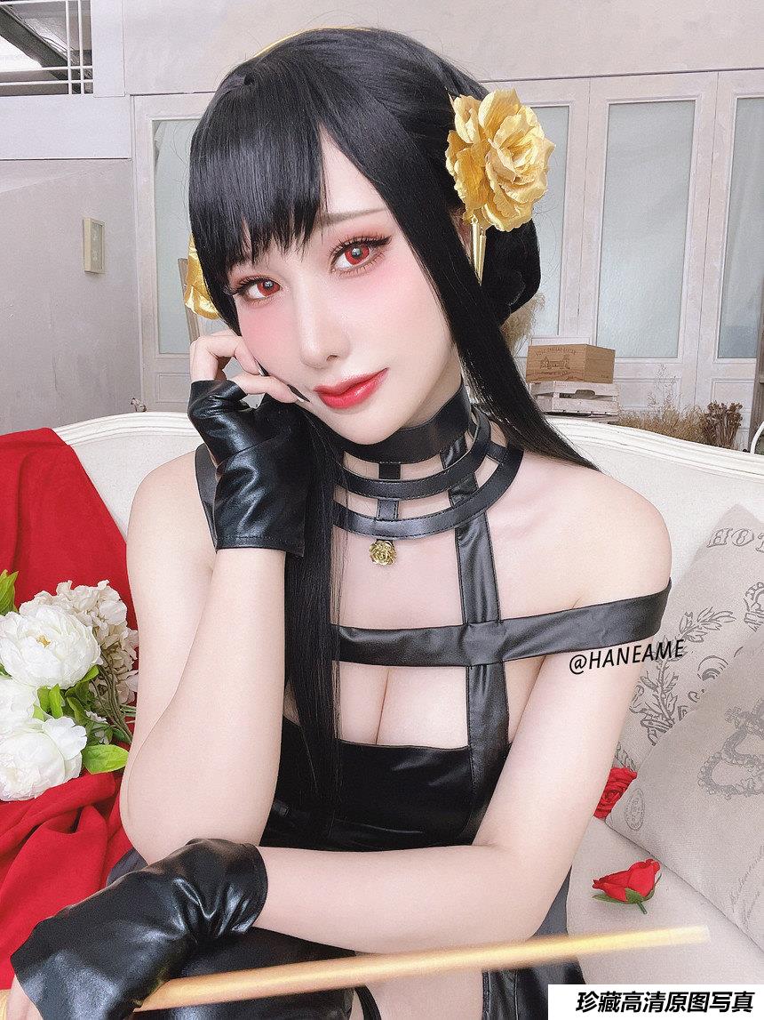 雨波_HaneAme - NO.145 間諜家族 Spy x Family Yor Forger [29P-123MB]