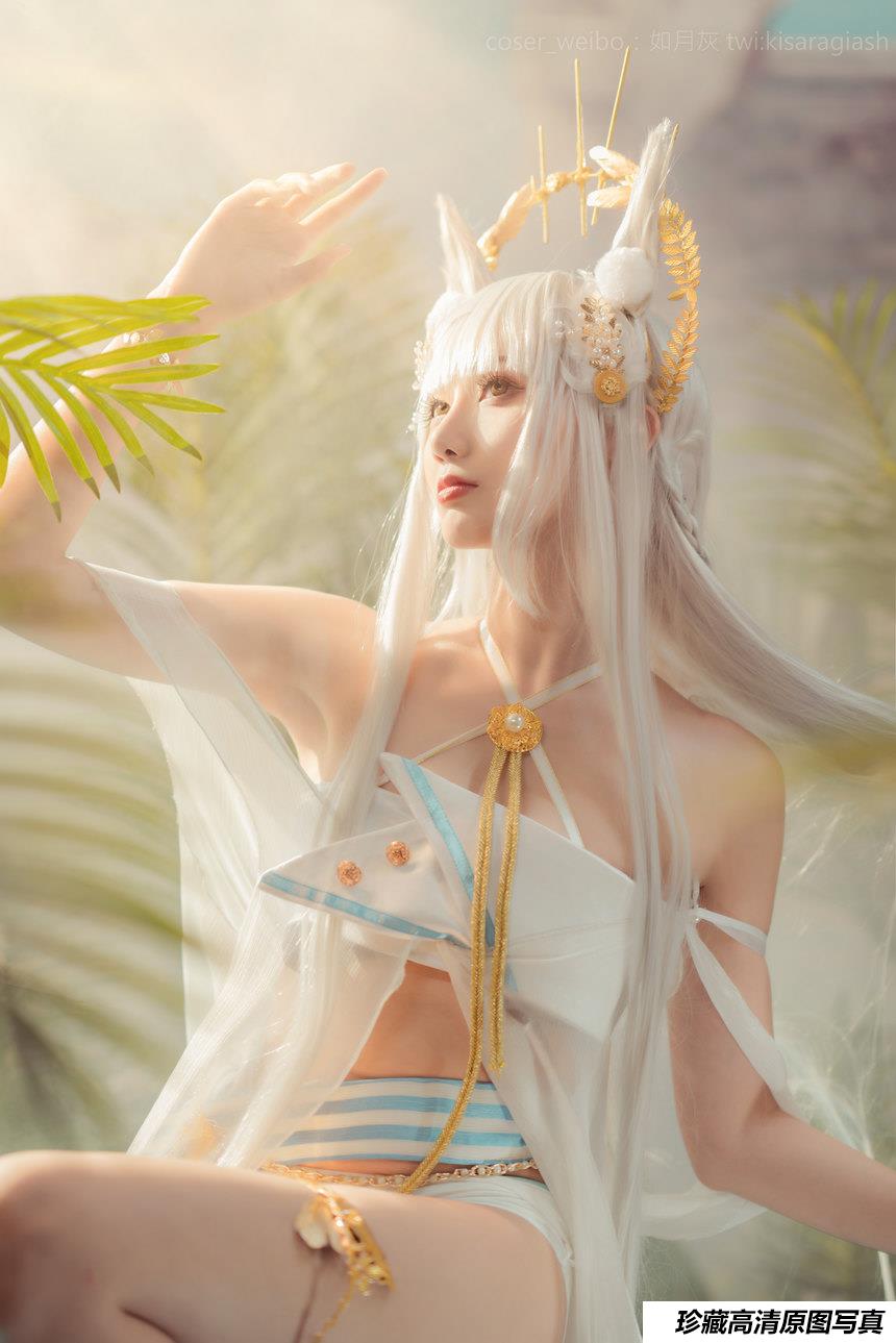 如月灰 - NO.21 Platinum ARK [17P-72MB]-绅士图