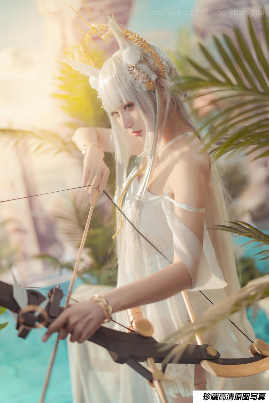 如月灰 - NO.21 Platinum ARK [17P-72MB]